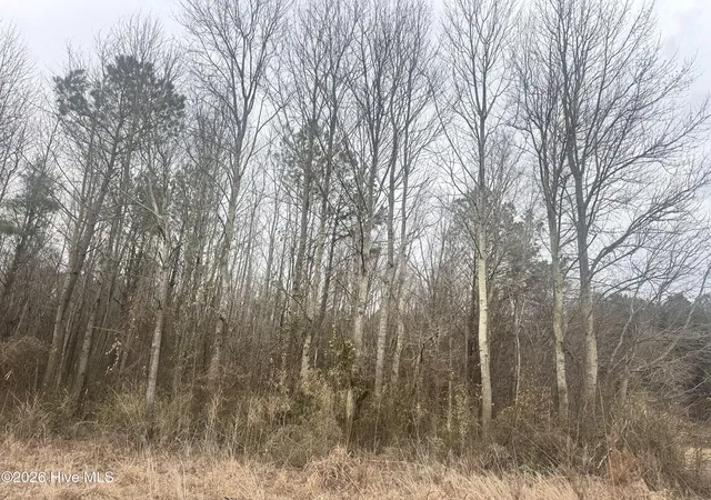 Photo 4 of House for sale at 0 Center Hl Hwy, Hertford, NC 27944 | MLS# 100577059 | Listing updated on 2026-05-27