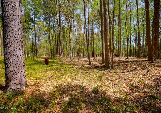 Photo 4 of Land for sale at Lot 35 Leeward Dr, Hertford, NC 27944 | MLS# 100563993 | Listing updated on 2026-09-30