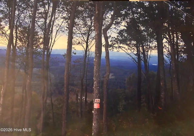 Photo 2 of Land for sale at 55 Buck Ridge Dr, Murphy, NC 28906 | MLS# 100596442 | Listing updated on 2026-08-14