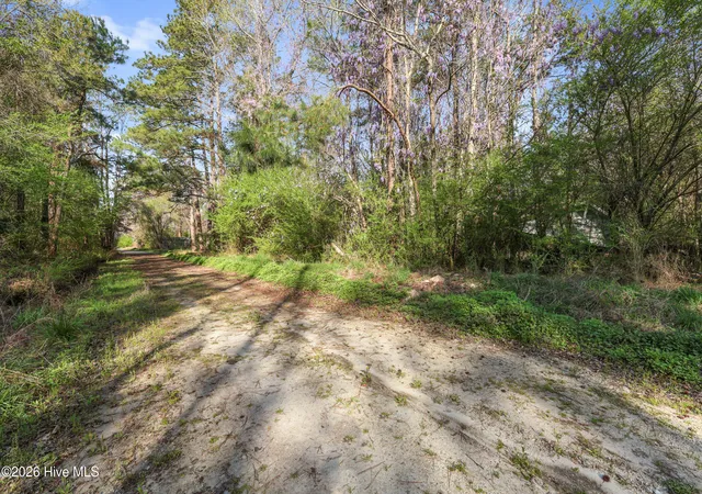 3rd image of 351 Burgaw Creek Loop Rd, Burgaw, NC 28425 | MLS# 100561876