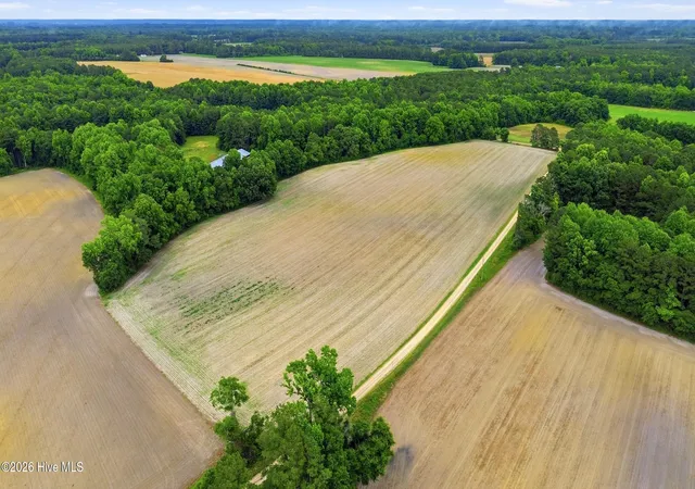 Photo 3 of Land for sale at Tbd Pig Palace Ln, Council, NC 28434 | MLS# 100578897 | Listing updated on 2026-08-31