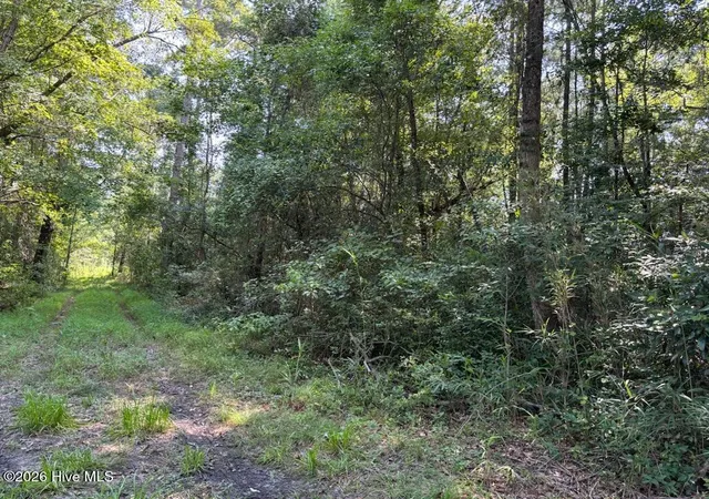 Photo 1 of Land for sale at Lot E 6 Wilmington St, Burgaw, NC 28425 | MLS# 100595820 | Listing updated on 2026-09-21