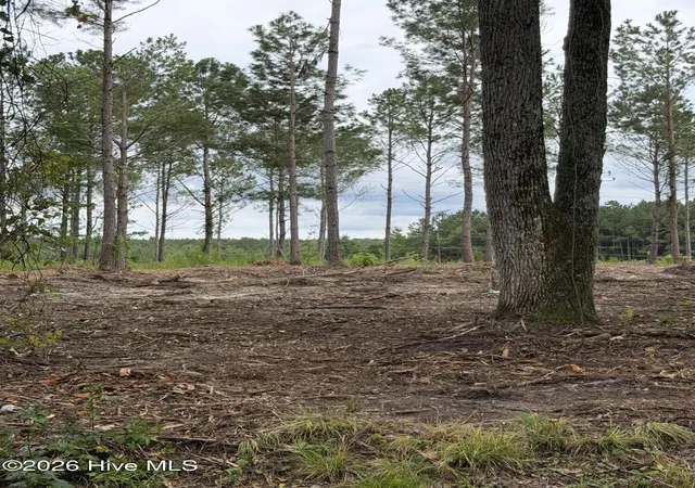 Photo 3 of Land for sale at Tbd/lot 1 Elmore, Laurinburg, NC 28352 | MLS# 100599981 | Listing updated on 2026-08-31