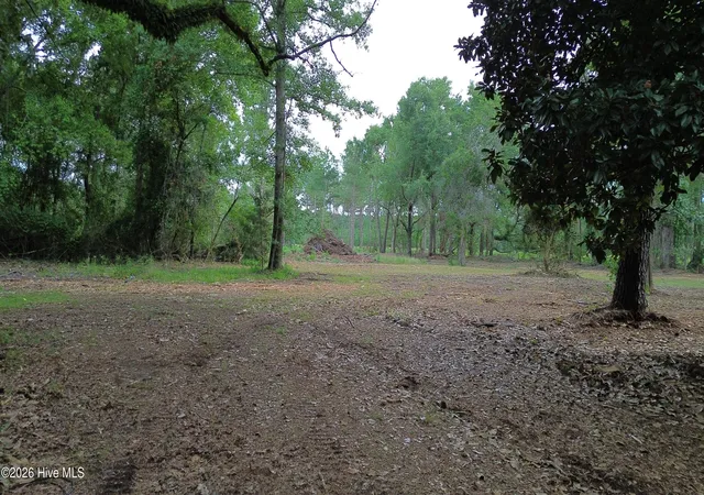 Photo 3 of Land for sale at Tbd/Lot 1 Elmore, Laurinburg, NC 28352 | MLS# 100599981 | Listing updated on 2026-08-31