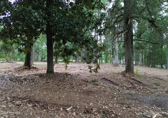 Photo 4 of Land for sale at Tbd/Lot 1 Elmore, Laurinburg, NC 28352 | MLS# 100599981 | Listing updated on 2026-08-31