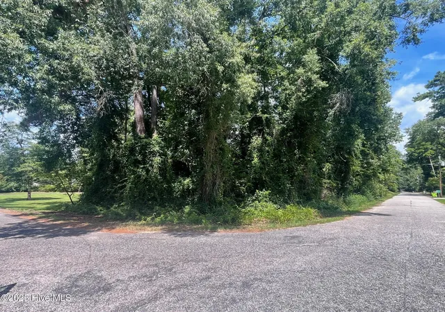 1st image of Lot 110 Wildwood Rd, Whiteville, NC 28472 | MLS# 100596749