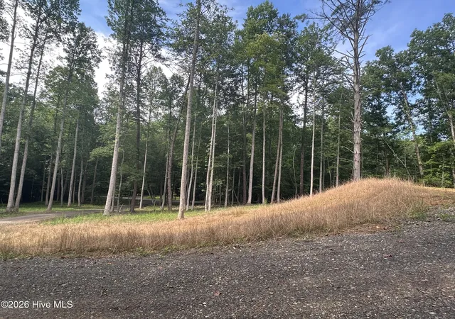 Homes for sale in Murphy, NC | 00 Johnsonville Rd, Murphy, NC 28906 | MLS# 100588099