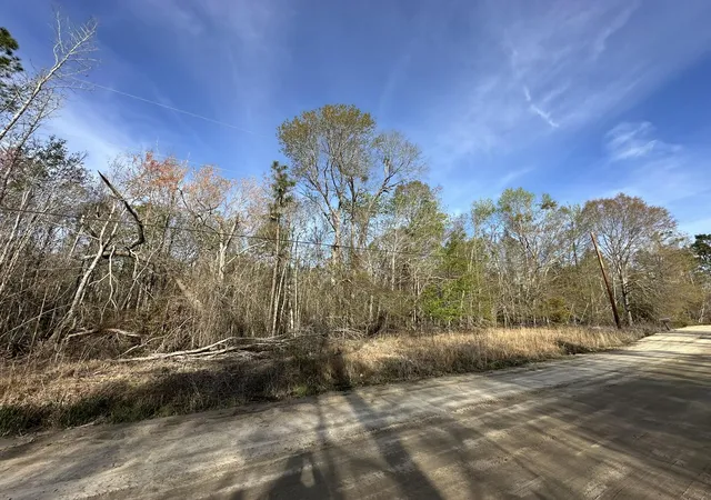 Homes for sale in Swainsboro, GA | Lot 12 Robin Blvd, Swainsboro, GA 30401 | MLS# 98256795