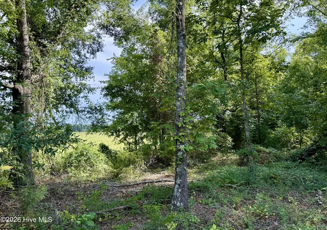 Photo 3 of Single family home for sale at 9153 Highway 28 S, Plum Branch, SC 29845 | MLS# 100595574 | Listing updated on 2026-08-14