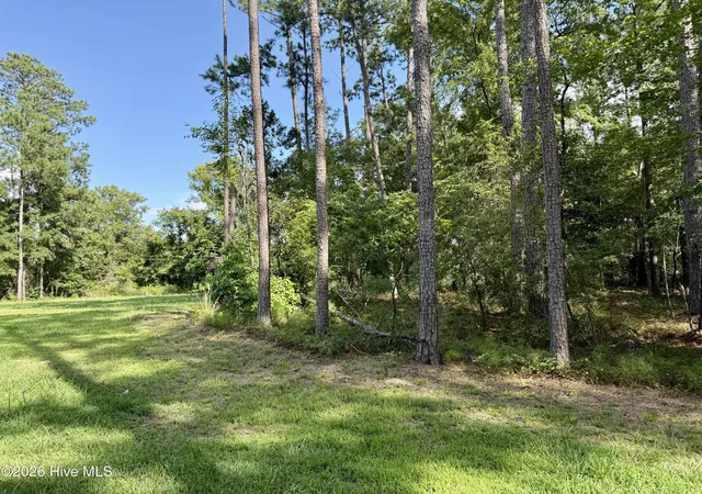 Photo 4 of Single family home for sale at 9153 Highway 28 S, Plum Branch, SC 29845 | MLS# 100595574 | Listing updated on 2026-08-14