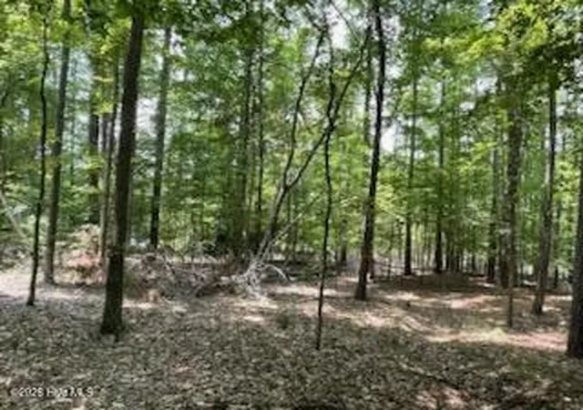 Photo 4 of Land for sale at 147 Rebecca Ln, Mc Cormick, SC 29835 | MLS# 100590981 | Listing updated on 2026-08-31