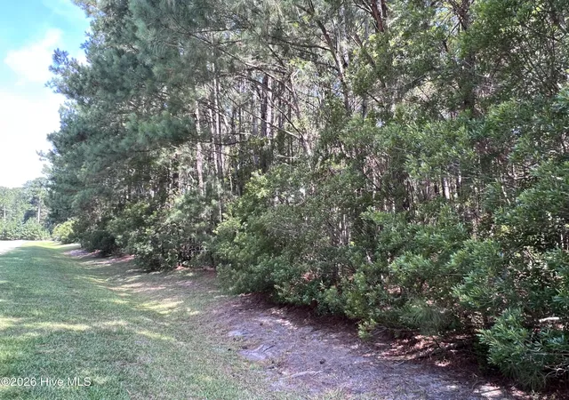 Photo 3 of Land for sale at 42 Windy Point, Belhaven, NC 27810 | MLS# 100589662 | Listing updated on 2026-07-24