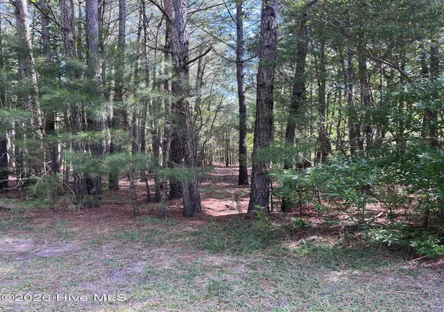 Photo 4 of Land for sale at 42 Windy Point, Belhaven, NC 27810 | MLS# 100589662 | Listing updated on 2026-07-24