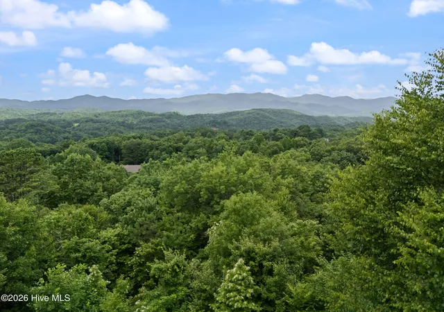Homes for sale in Marble, NC | 181 Rice Ln, Marble, NC 28905 | MLS# 100585989
