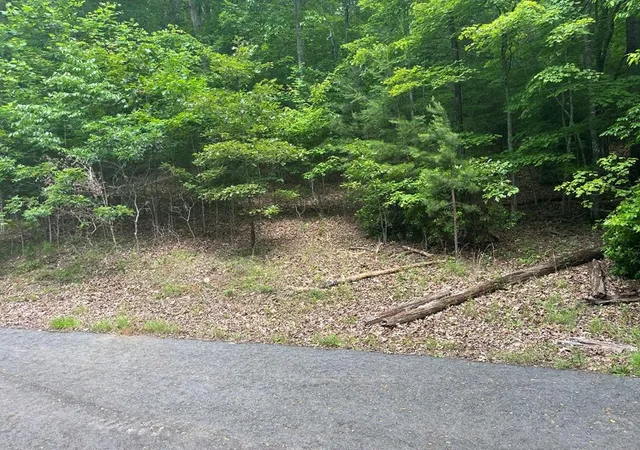 Photo 1 of Land for sale at Lot 64 Cirrus Dr, Murphy, NC 28906 | MLS# 98524768 | Listing updated on 2026-06-02