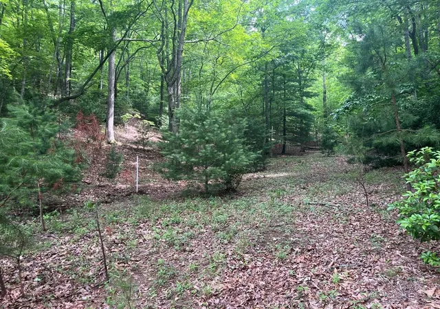 Photo 3 of Land for sale at Lot 64 Cirrus Dr, Murphy, NC 28906 | MLS# 98524768 | Listing updated on 2026-06-02