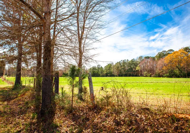 3rd image of Lot 2 Mistletoe Rd, Appling, GA 30802 | MLS# 98211952