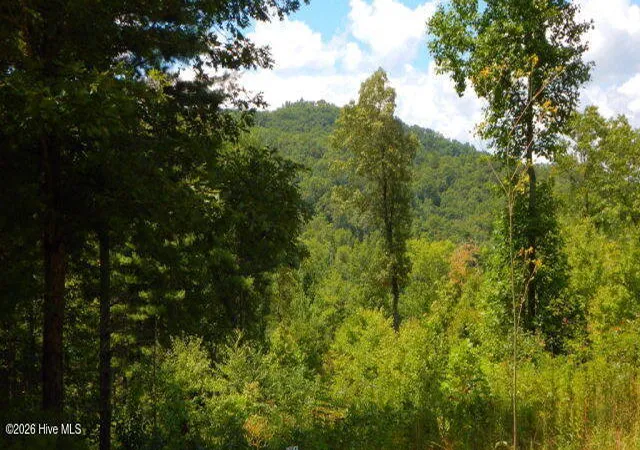 Photo 1 of Land for sale at 16 Tyler Ridge, Murphy, NC 28906 | MLS# 100581871 | Listing updated on 2026-06-15