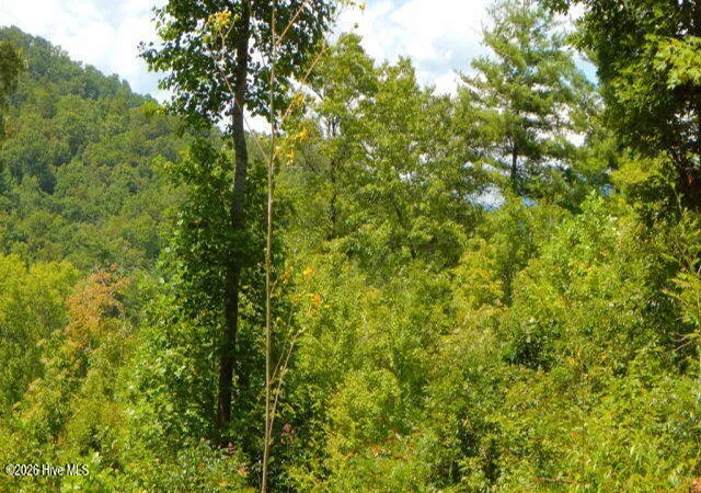 Photo 3 of Land for sale at 16 Tyler Ridge, Murphy, NC 28906 | MLS# 100581871 | Listing updated on 2026-06-15