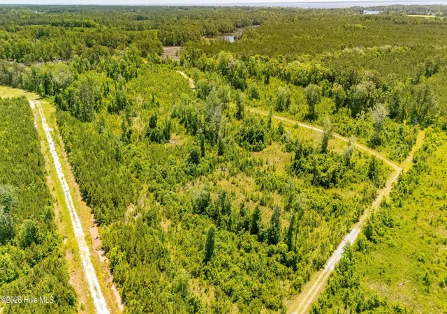 13th image of Tract1 & 2 Kershaw Road, Oriental, NC 28571 | MLS# 100581399
