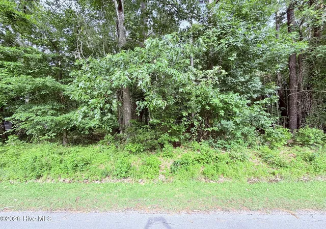 Photo 2 of Land for sale at 73 Laurel St, Hertford, NC 27944 | MLS# 100584250 | Listing updated on 2026-10-02