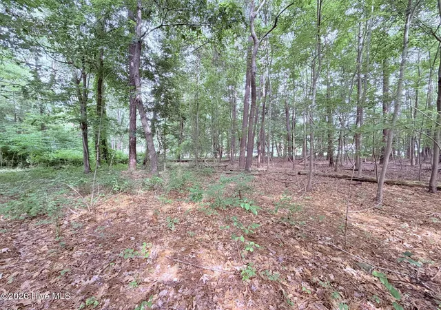 Photo 3 of Land for sale at 73 Laurel St, Hertford, NC 27944 | MLS# 100584250 | Listing updated on 2026-10-02