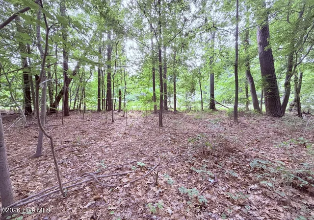 Photo 4 of Land for sale at 73 Laurel St, Hertford, NC 27944 | MLS# 100584250 | Listing updated on 2026-10-02