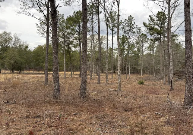 Homes for sale in Blythe, GA | 745 Wright Allen Rd, Blythe, GA 30805 | MLS# 98254528