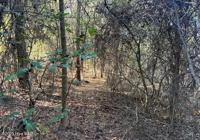 Photo 4 of Land for sale at 0 Knight Way SE, Winnabow, NC 28479 | MLS# 100542829 | Listing updated on 2026-09-10
