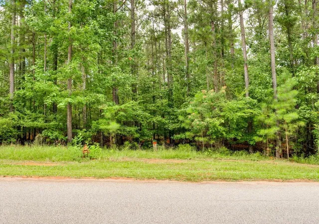 1st image of Lot 58 Lighthouse Pointe, Lincolnton, GA 30817 | MLS# 98224302