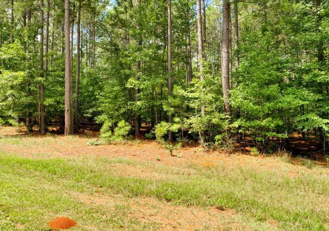 4th image of Lot 58 Lighthouse Pointe, Lincolnton, GA 30817 | MLS# 98224302