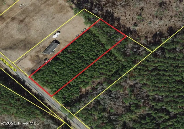 Photo 1 of Land for sale at 178 Acres Harrelson Rd, Clarkton, NC 28433 | MLS# 100539379 | Listing updated on 2026-03-01