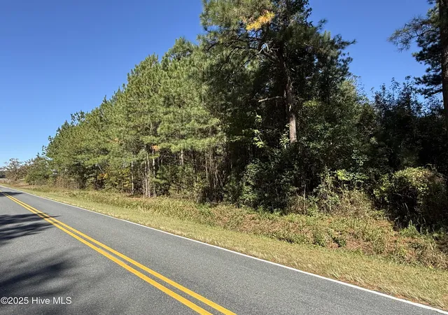 Photo 2 of Land for sale at 178 Acres Harrelson Rd, Clarkton, NC 28433 | MLS# 100539379 | Listing updated on 2026-03-01
