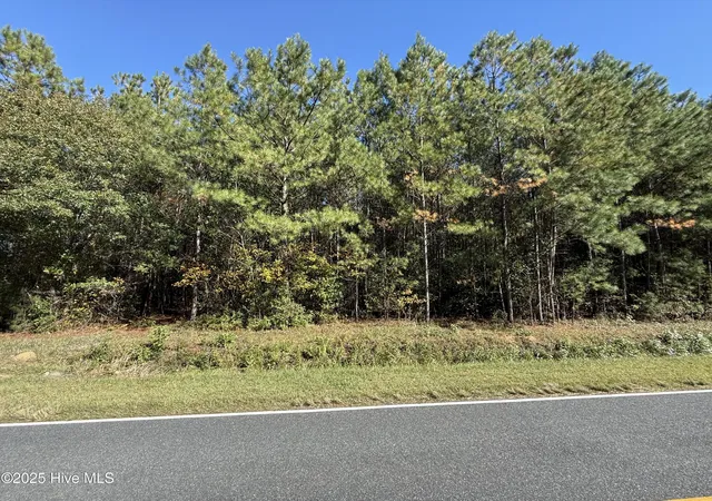 Photo 3 of Land for sale at 178 Acres Harrelson Rd, Clarkton, NC 28433 | MLS# 100539379 | Listing updated on 2026-03-01