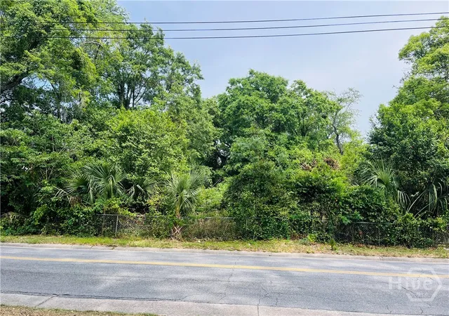 2nd image of 0 Skidaway Rd, Savannah, GA 31404 | MLS# SA354432
