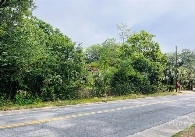 4th image of 0 Skidaway Rd, Savannah, GA 31404 | MLS# SA354432