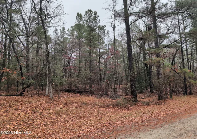 Photo 2 of Land for sale at 1211 Laurel Cir, Vass, NC 28394 | MLS# 100545921 | Listing updated on 2026-02-28