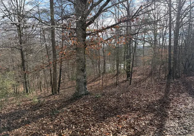 Photo 28 of Land for sale at 4, 5 &6 Mountain Wood Dr, Murphy, NC 28906 | MLS# 98519391 | Listing updated on 2026-08-03