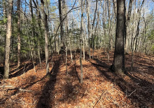 Photo 4 of Land for sale at 4, 5 &6 Mountain Wood Dr, Murphy, NC 28906 | MLS# 98519391 | Listing updated on 2026-08-03