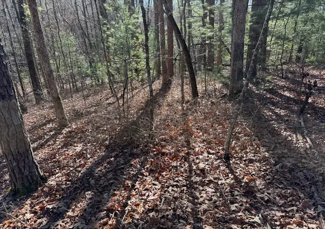 Photo 5 of Land for sale at 4, 5 &6 Mountain Wood Dr, Murphy, NC 28906 | MLS# 98519391 | Listing updated on 2026-08-03