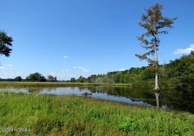 Photo 10 of Land for sale at Tbd Cowpen Swamp Rd, Fairmont, NC 28340 | MLS# 100534044 | Listing updated on 2026-03-02