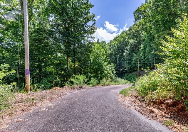 Homes for sale in Marble, NC | Lot 111C Puett Cove Ests, Marble, NC 28905 | MLS# 98525076