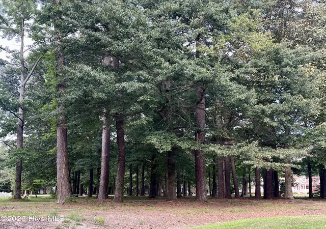 Photo 3 of Land for sale at 108 Nanthala Ct W, Hertford, NC 27944 | MLS# 100599612 | Listing updated on 2026-08-28