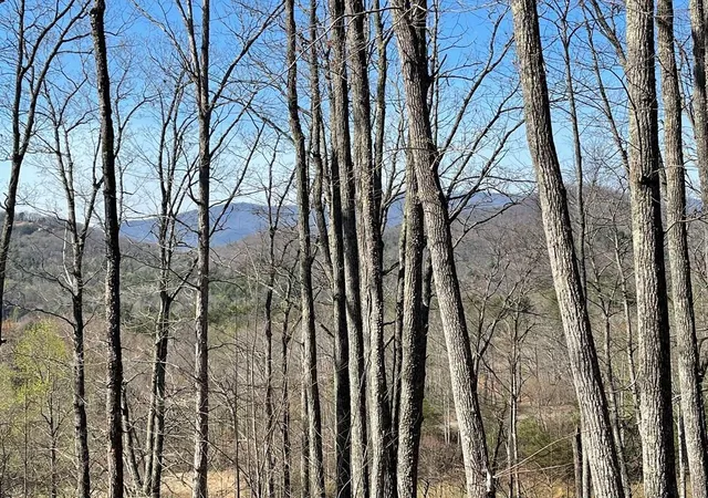 Homes for sale in Hayesville, NC | 22m 26m Ridges Fairway, Hayesville, NC 28904 | MLS# 98519844