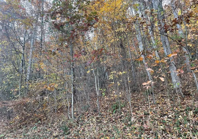 Homes for sale in Hayesville, NC | Lot 51j Indian Trl, Hayesville, NC 28904 | MLS# 98543810