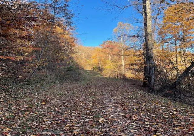 Photo 3 of Land for sale at Lot 51j Indian Trl, Hayesville, NC 28904 | MLS# 98543810 | Listing updated on 2026-07-21