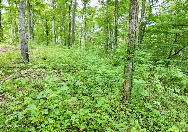 Photo 3 of Land for sale at 7 Heaton Rd, Andrews, NC 28901 | MLS# 100591973 | Listing updated on 2026-07-28