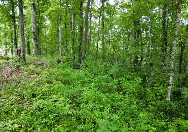 Photo 3 of Land for sale at 7 Heaton Rd, Andrews, NC 28901 | MLS# 100591973 | Listing updated on 2026-07-28