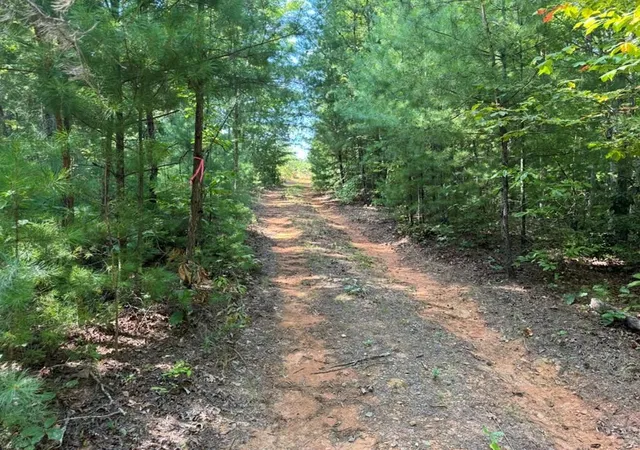 Photo 1 of Land for sale at Lot 6&7 Donley Rd, Murphy, NC 28906 | MLS# 98544634 | Listing updated on 2026-07-31