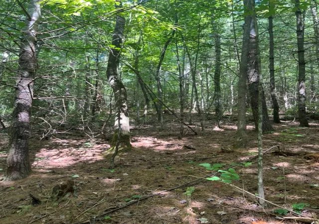 Photo 4 of Land for sale at Lot 6&7 Donley Rd, Murphy, NC 28906 | MLS# 98544634 | Listing updated on 2026-07-31